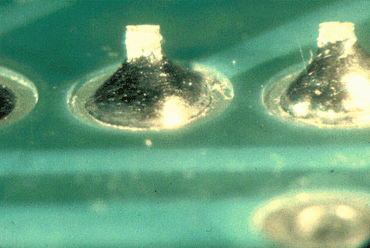 Figure 6: While the pad wetting is satisfactory, the component leads show poor wetting Figure 6: While the pad wetting is satisfactory, the component leads show poor wetting